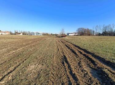 foto principale del terreno