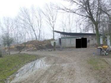 foto principale del terreno