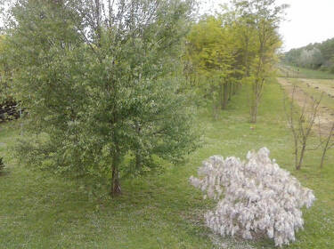 foto principale del terreno