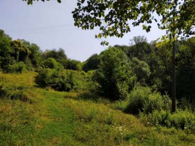 foto principale del terreno