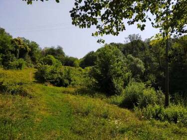 foto principale del terreno