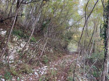 foto principale del terreno