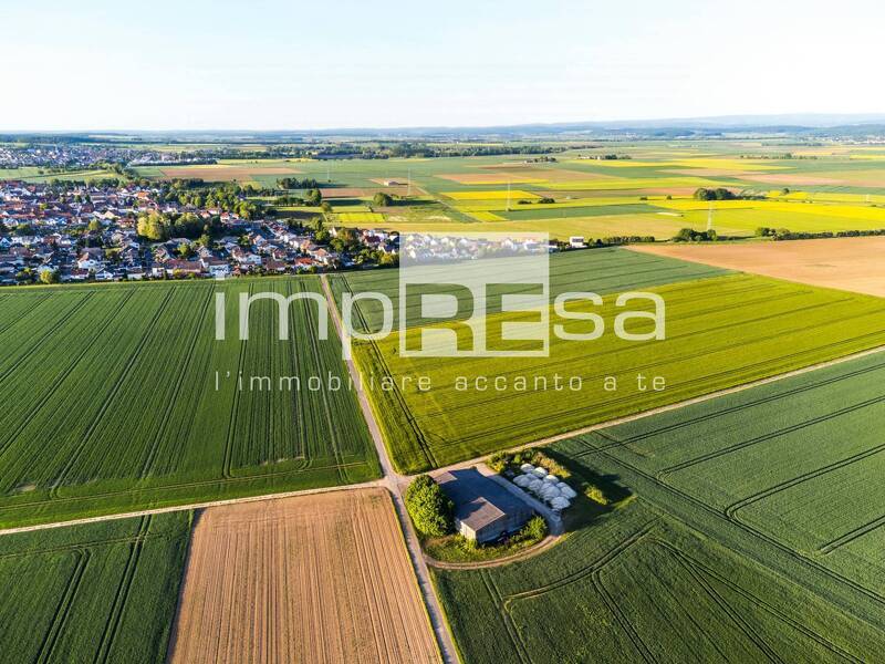 foto principale del terreno