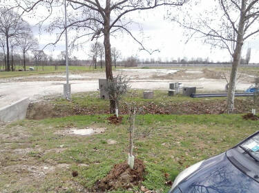 foto principale del terreno