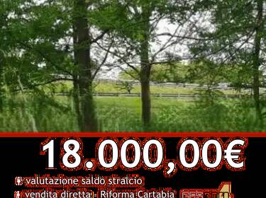 foto principale del terreno
