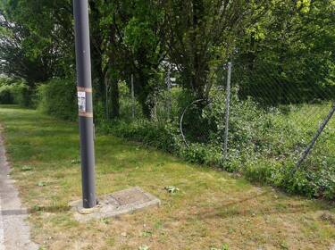 foto principale del terreno