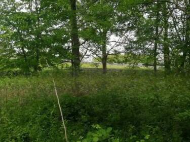 foto principale del terreno