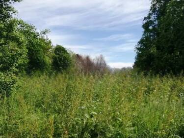 foto principale del terreno