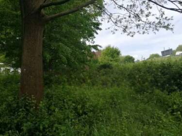 foto principale del terreno