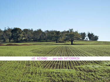 foto principale del terreno