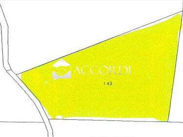 foto principale del terreno