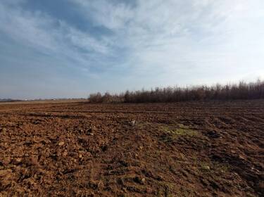 foto principale del terreno