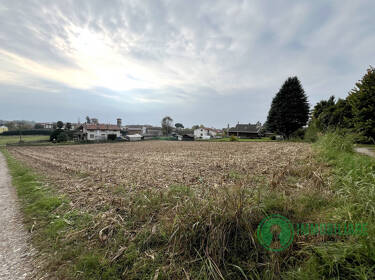foto principale del terreno