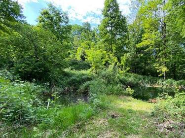 foto principale del terreno