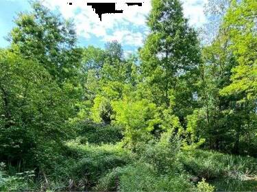 foto principale del terreno