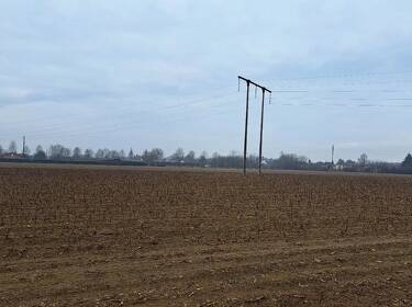 foto principale del terreno