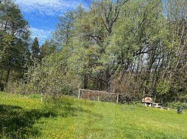 foto principale del terreno