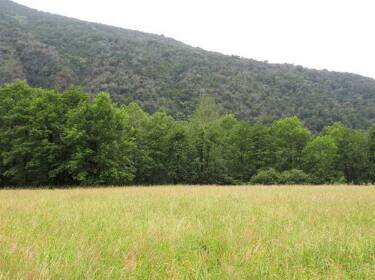 foto principale del terreno