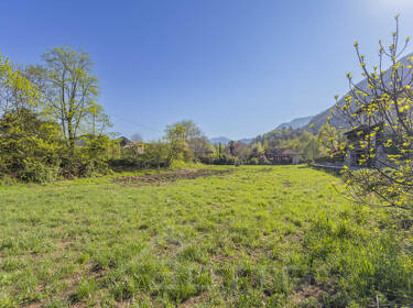foto principale del terreno