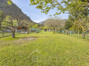 foto principale del terreno