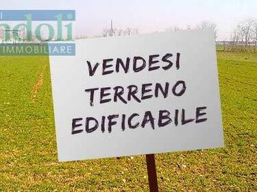 foto principale del terreno