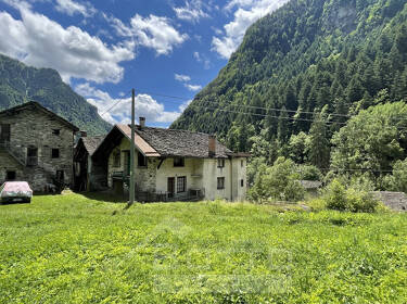 foto principale del terreno