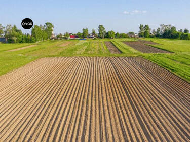 foto principale del terreno