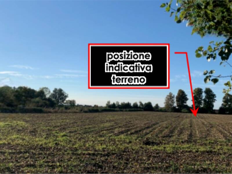 foto principale del terreno
