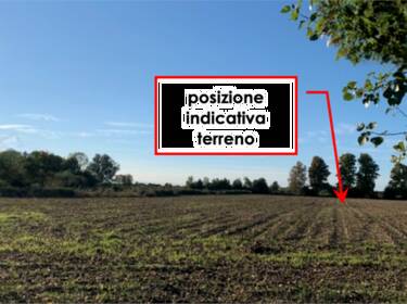 foto principale del terreno
