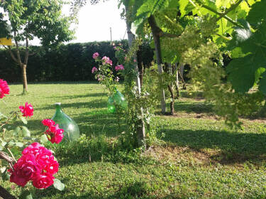 foto principale del terreno