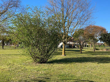 foto principale del terreno