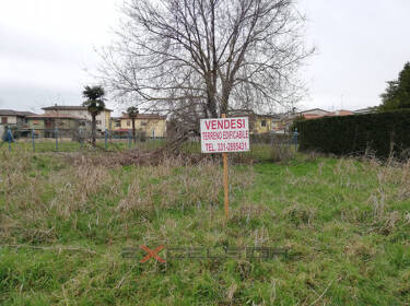 foto principale del terreno
