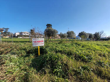 foto principale del terreno