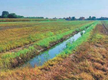 foto principale del terreno