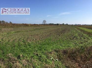 foto principale del terreno