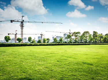 foto principale del terreno