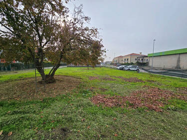 foto principale del terreno