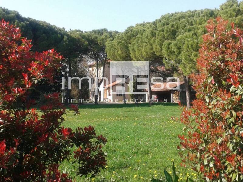 foto principale del terreno