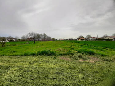 foto principale del terreno