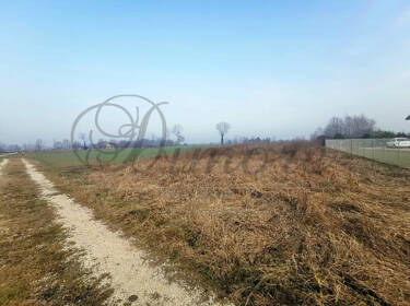 foto principale del terreno