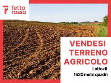 foto principale del terreno
