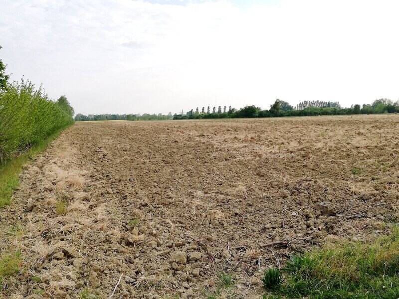 foto principale del terreno