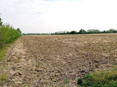 foto principale del terreno