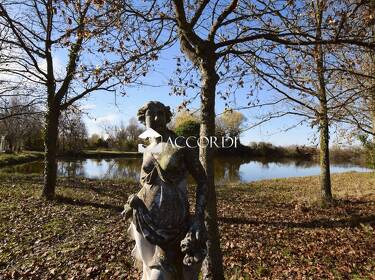 foto principale del terreno