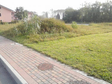 foto principale del terreno