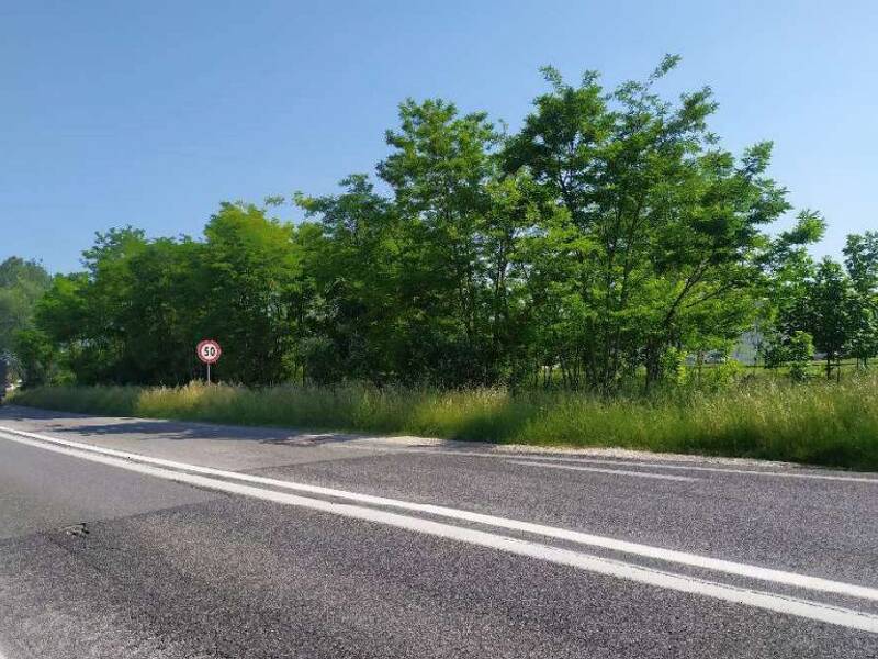 foto principale del terreno