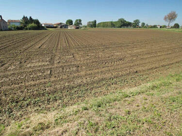 foto principale del terreno