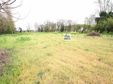 foto principale del terreno