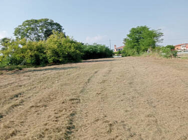 foto principale del terreno