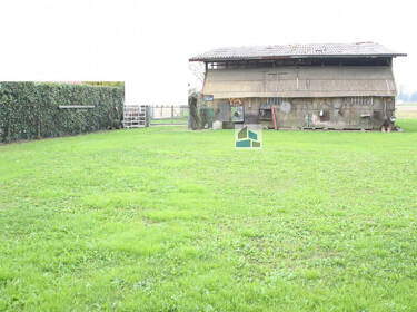 foto principale del terreno